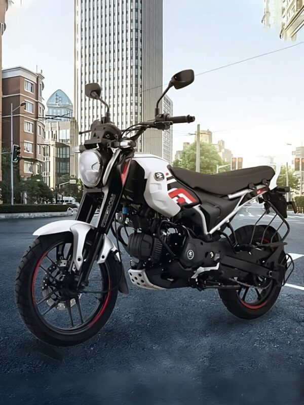 Bajaj CNG Bike